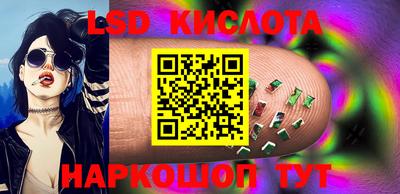 стафф Можга